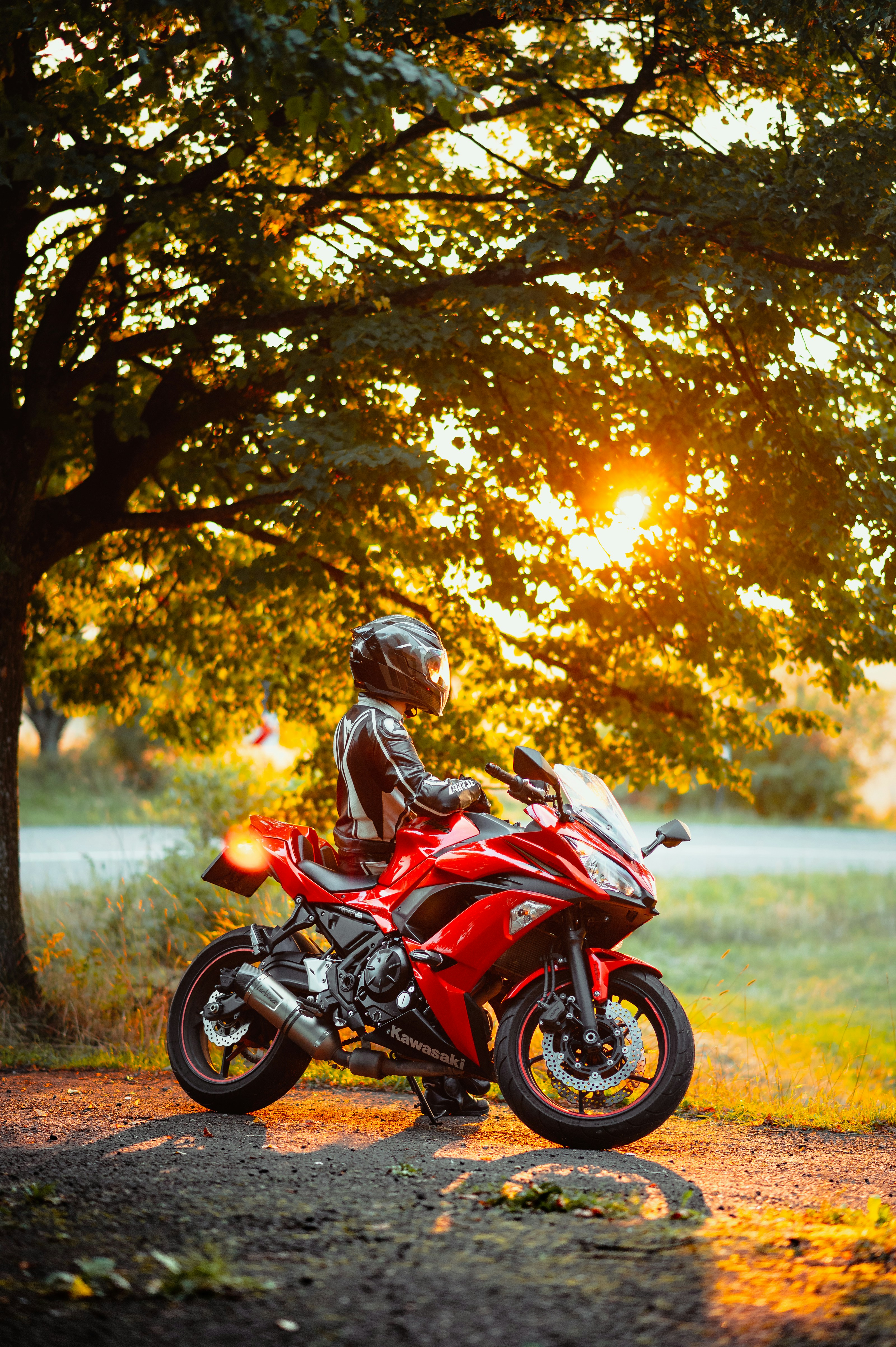 Triumph trident 660