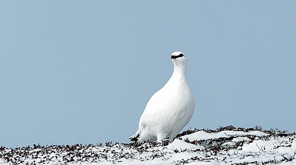 Vi tar hensyn til naturen